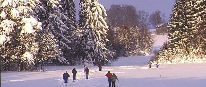 Ski-Langlauf Urlaub im Bayerischen Wald - Langlauf Loipen im Bayerwald